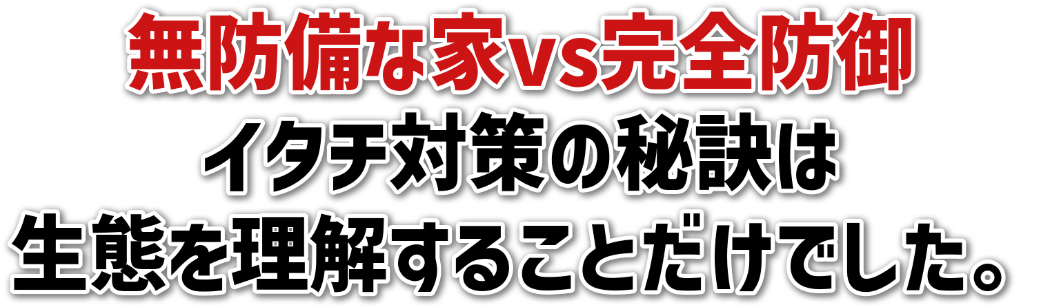 hȉvsSh<br>C^`΍̔錍<br>Ԃ𗝉邱ƂłB