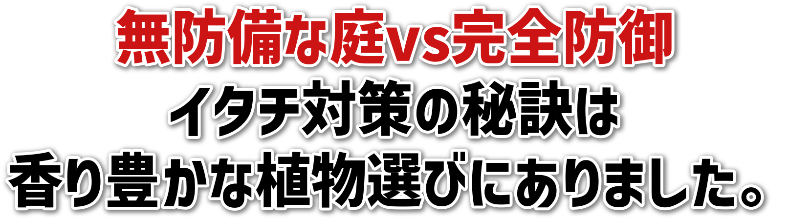 hȒvsSh<br>C^`΍̔錍<br>LȐAIтɂ܂B