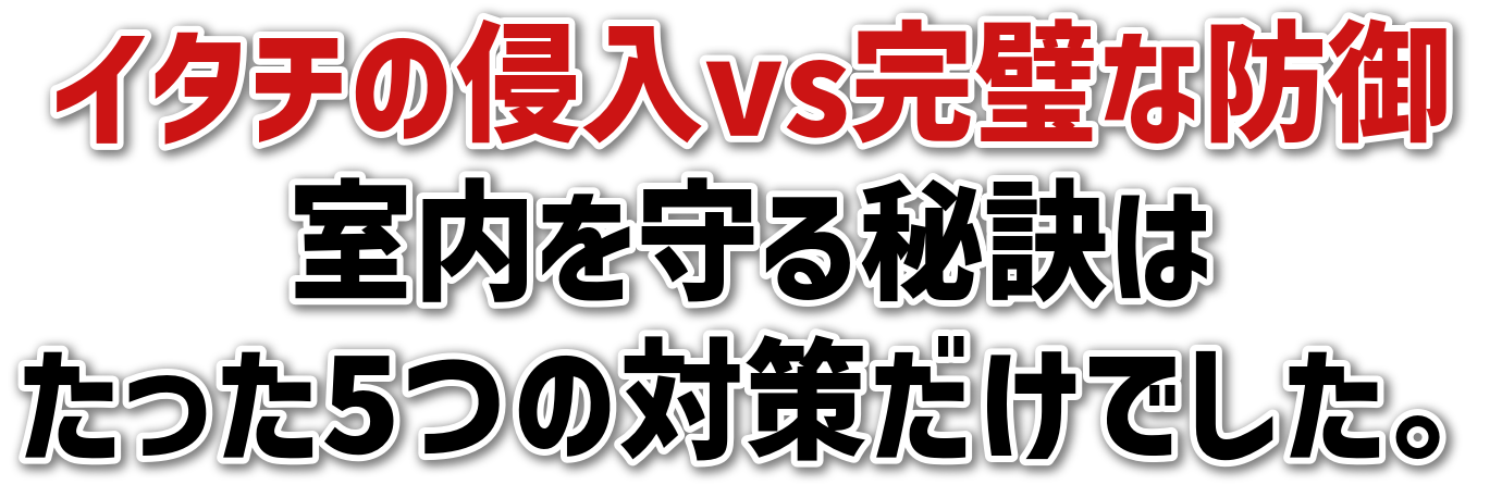 C^`̐NvsȖh<br>錍<br>5̑΍􂾂łB