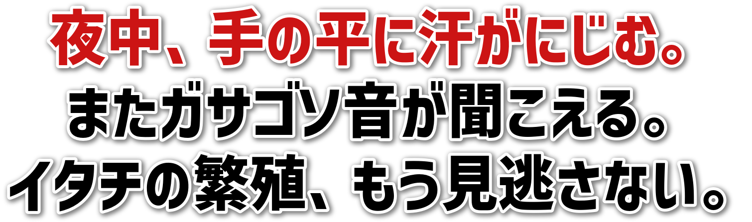 钆A̕ɊɂށB<br>܂KTS\B<br>C^`̔ɐBAȂB