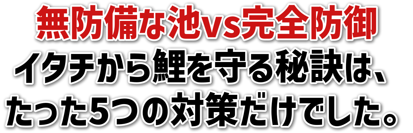 hȒrvsSh<br>C^`錍́A<br>5̑΍􂾂łB