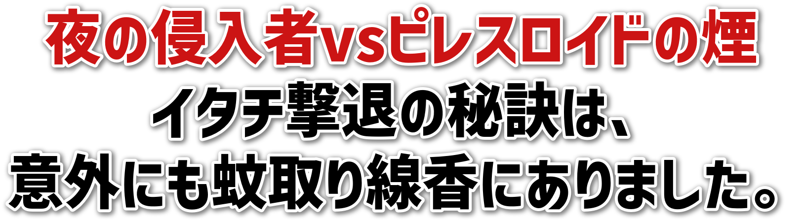 ̐NvssXCh̉<br>C^`ނ̔錍́A<br>ӊOɂɂ܂B