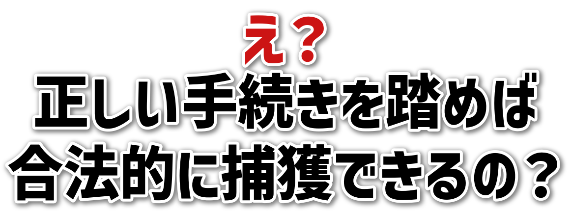 H<br>葱𓥂߂<br>@Iɕߊlł́H